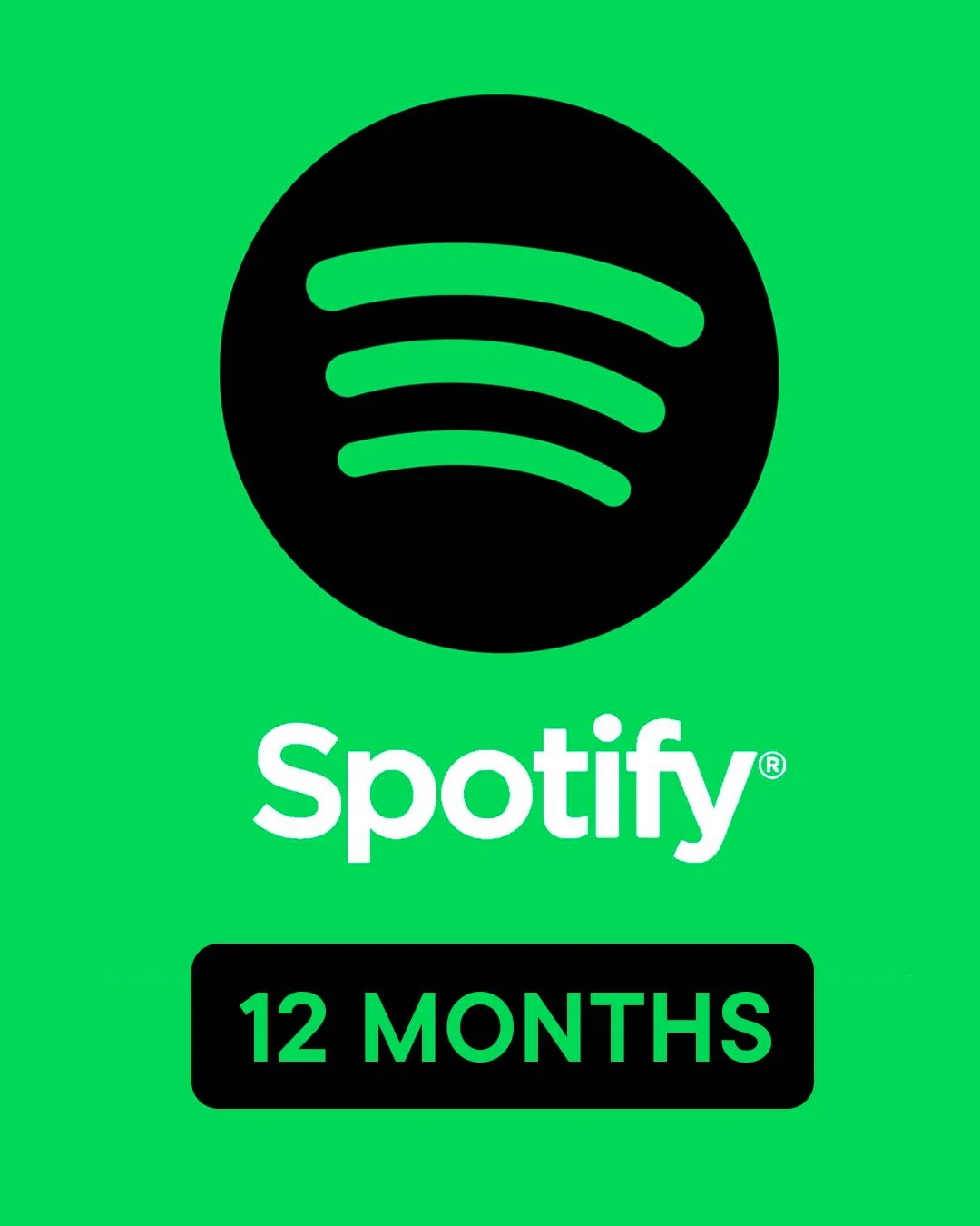 Spotify Premium 12 Months INDIVIDUAL (Account Global)